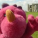 04A84Eb8Ae8620617E84768B03Aaab0E S 38 D Blank R G
