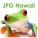 082B6C96267209Cf4A773682204Ef509 S 38 D Blank R G