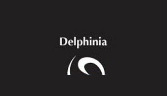 Delphinia Designs