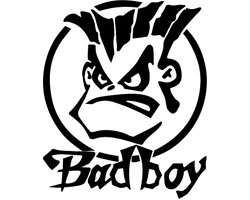 Bad Boy