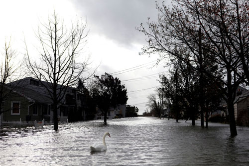  Hurricane Sandy Photograph 32