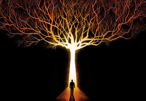 The Tree of Light