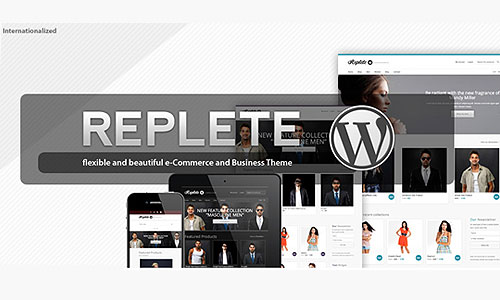 WordPress Themes