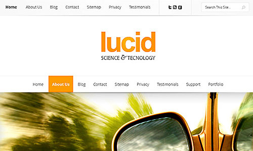 WordPress Theme Lucid