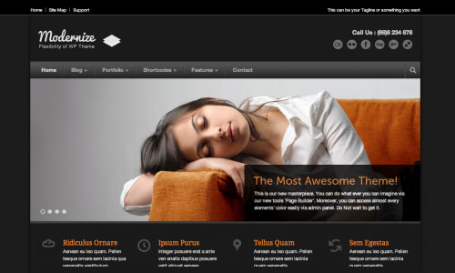 WordPress Theme Modernize